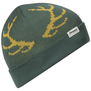 Bergans Kids&#x27; Antlers Beanie Forest Frost/Pineapple | Buy Bergans Kids&#x27; Antlers Beanie Forest Frost/Pineapple here | Outnorth