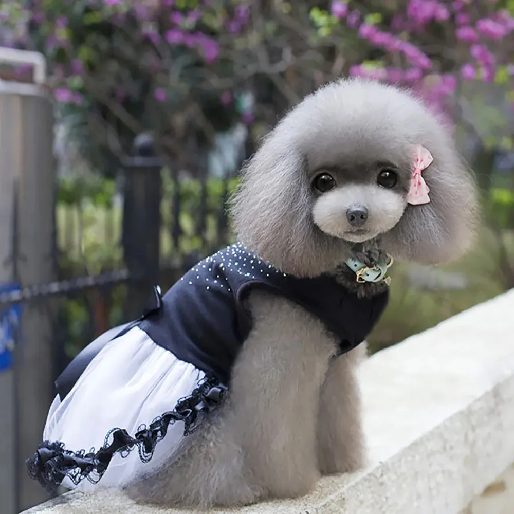 DIVA Pet "Midnight Baby" Elegant Pet Dress