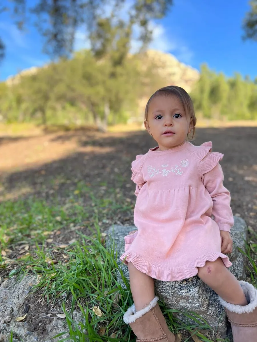 Soft Pink Embroidered Ruffle Sweater Dress